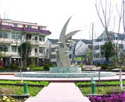 崇明城市风光