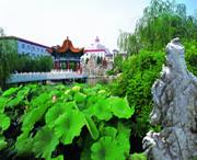 津南城市风光