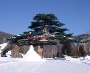 牡丹江城市风光
