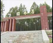 新林城市风光