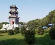 榆树城市风光