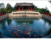 章丘城市风光