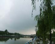 鱼台城市风光