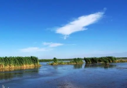 博湖城市风光