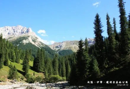 察布查尔城市风光