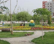 和田城市风光