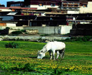 山南城市风光