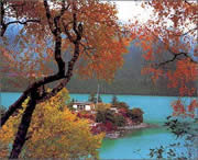 林芝城市风光