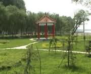 原阳城市风光