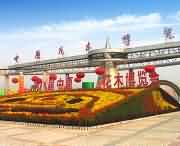 鄢陵城市风光