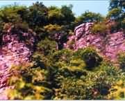 遂平城市风光