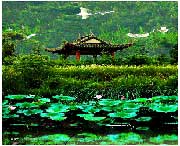 蔡甸城市风光