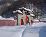 新洲城市风光