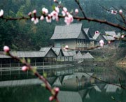 浠水城市风光