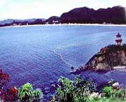 玉环城市风光