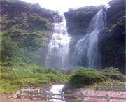 泰顺城市风光