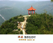 洞头城市风光