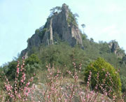 丽水城市风光