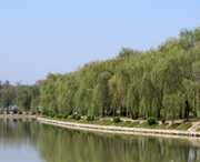 阜南城市风光
