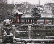 太和城市风光