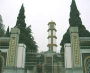 利辛城市风光