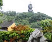 蒙城城市风光
