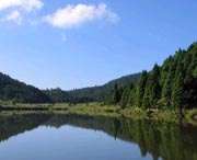 凤阳城市风光