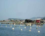 连江城市风光