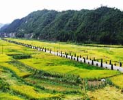 寿宁城市风光