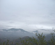 诏安城市风光