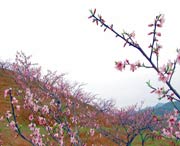 建宁城市风光