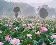 广昌城市风光