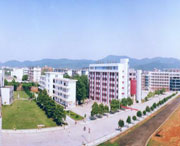 新余城市风光