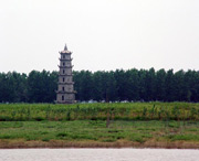 沅江城市风光