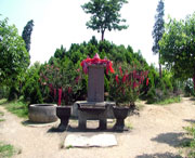 郫都城市风光