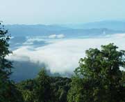 屏山城市风光