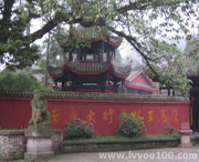 乐至城市风光