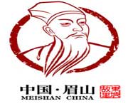 眉山城市风光
