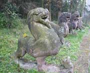 芦山城市风光