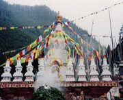 金川城市风光