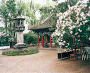 黑水城市风光