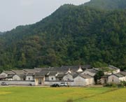 大埔城市风光