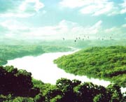廉江城市风光