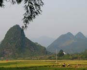 和平城市风光