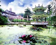 新兴城市风光