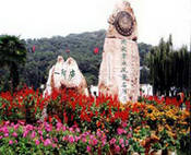 泸西城市风光