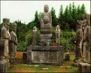 威信城市风光