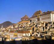 香格里拉城市风光