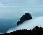 金秀城市风光