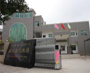 西林城市风光